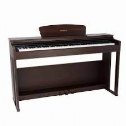 DP-250 RW - Dijital Piyano (Rosewood)