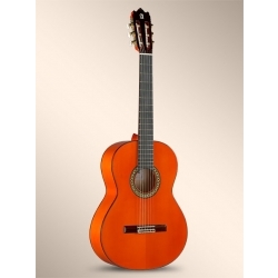 4F Flamenko Gitar