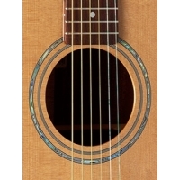 W-100 Akustik Gitar