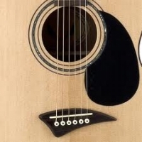 Florentine AK48 - Parlak Natural - Elektro Akustik Gitar