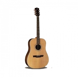 W-300 Akustik Gitar
