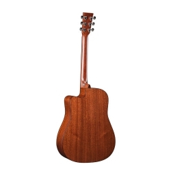 DCPA4SHADED - Elektro Akustik Gitar ve Case