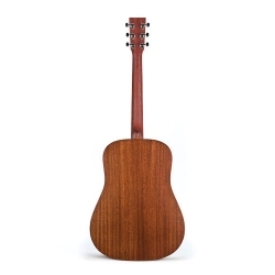 DRS1 - Elektro Akustik Gitar ve Case