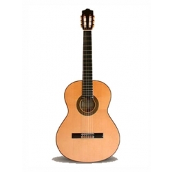 5F Flamenko Gitar