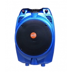 PAZ67AB - 30 Watt Taşınabilir Şarjlı Amplifikatör (Mavi)